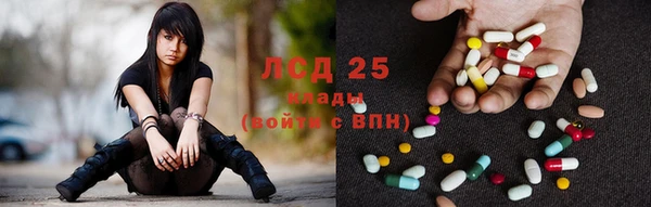 индика Гусев