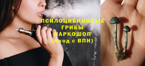 эйфоретик Гусь-Хрустальный