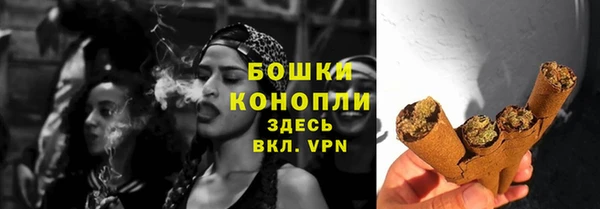 эйфоретик Гусь-Хрустальный