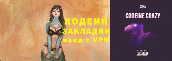 эйфоретик Гусь-Хрустальный