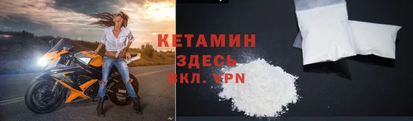 индика Гусев