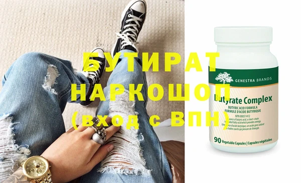 индика Гусев