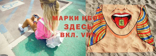 индика Гусев