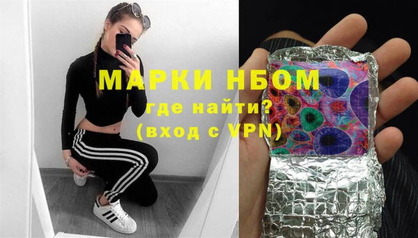 эйфоретик Гусь-Хрустальный