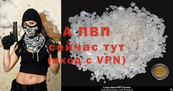 эйфоретик Гусь-Хрустальный