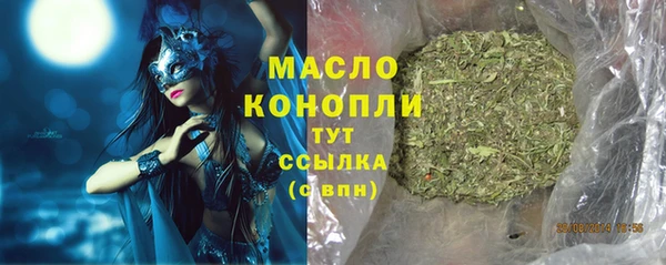 индика Гусев