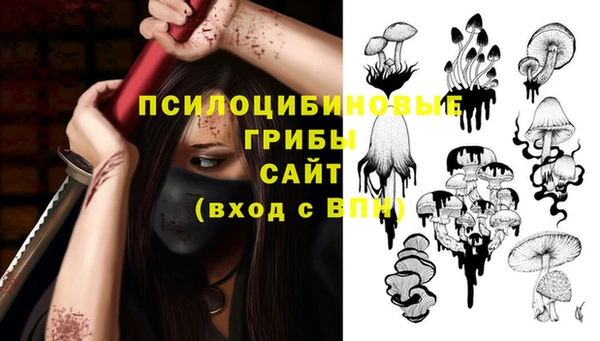 индика Гусев