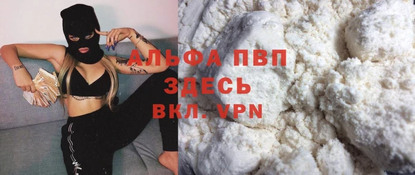 эйфоретик Гусь-Хрустальный
