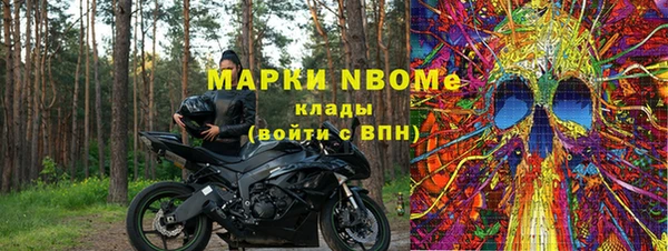 индика Гусев