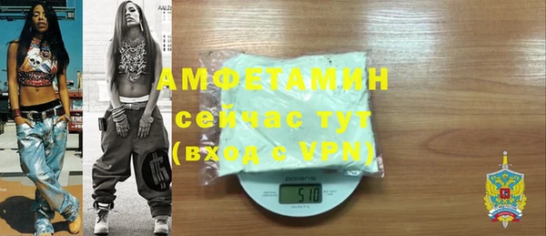 индика Гусев