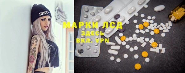 индика Гусев