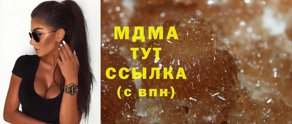 индика Гусев